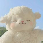 范小范