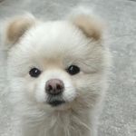 玺玉kk