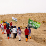 E17.在民勤种下的梭梭树，治好了多少都市人的精神内耗？