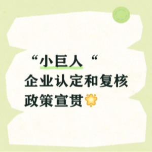 “小巨人“企业认定和复核政策宣贯