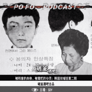 013.被残害的肉体、被毒烂的心灵：韩国双城凶案二则
