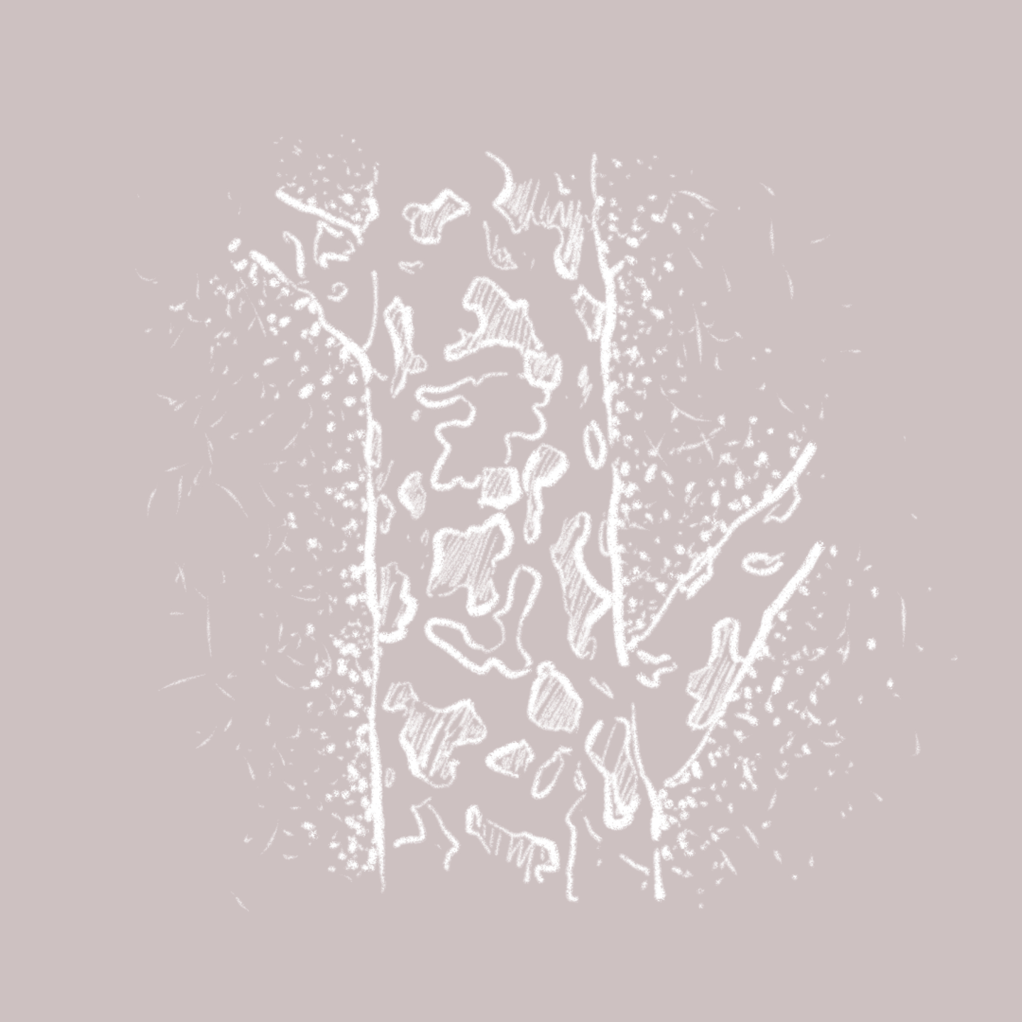 EP13【城市植物】北京篇：松柏杨槐，让南方孩子目瞪口呆 episode artwork