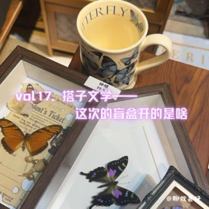 vol17.搭子文学-这次的盲盒开的是啥