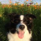 mojito_fJYn