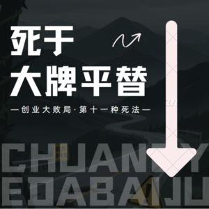 vol.11【创业大败局第十一种死法】死于大牌平替