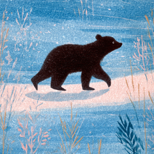 The Bear Who Did Not Want to Sleep | 不睡觉的小熊 | 中英文双语音频故事