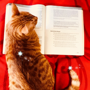 雅思口语Part 1高分语料 | Cakes 蛋糕