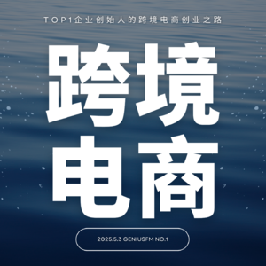 跨境风口:TOP1MCN出海创业者的实战访谈 Episode cover