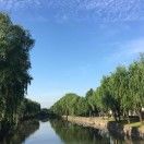 冬天的轻舞飞扬