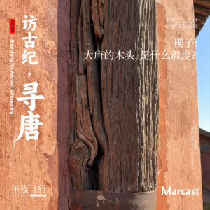 大唐的木头,是什么温度?| 寻唐·楔子