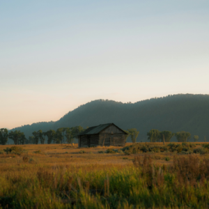 EP198 用图论捕捉分析师预期中的alpha