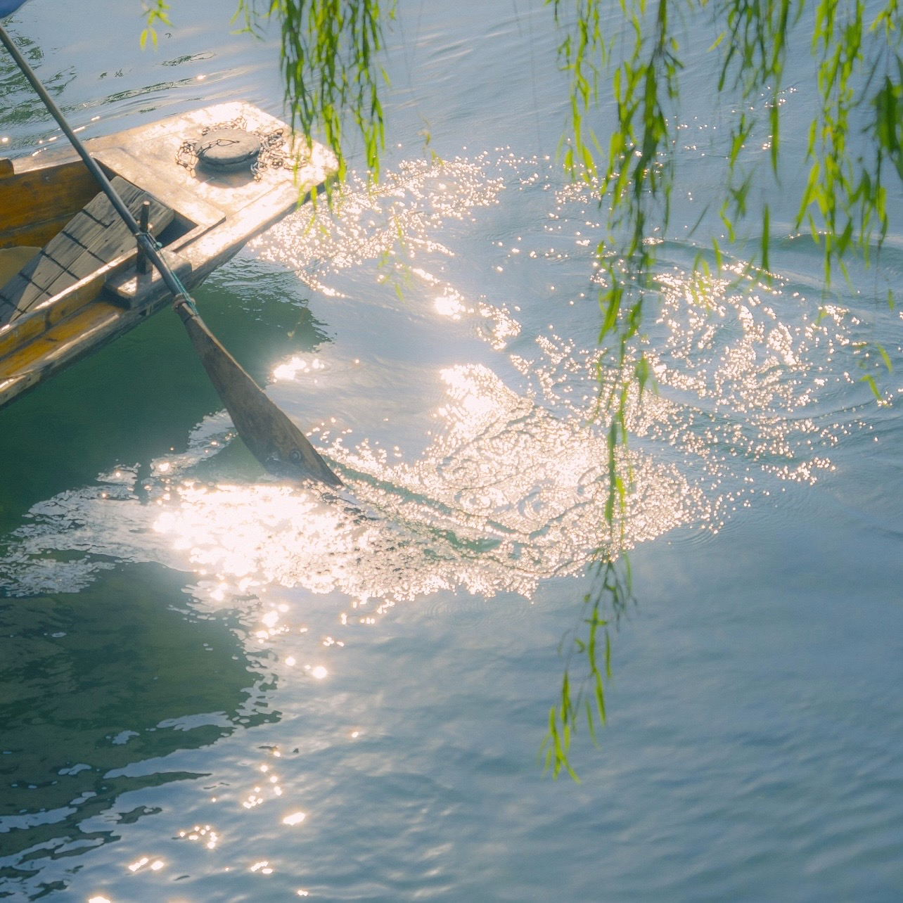 E14 食伤人：着力即差，允许自己满肚子的“不合时宜” episode artwork