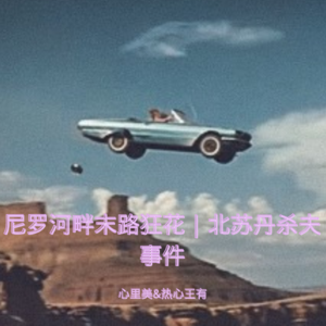 07 尼罗河畔末路狂花：北苏丹杀夫事件
