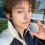 Dove_417