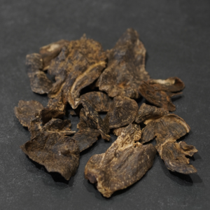 深山蚂蟥、银环蛇与野生沉香：采香人口述消亡的野生沉香