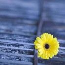 是我呀小葫芦