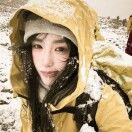 弦林