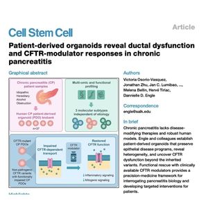 1338-Ductal Dysfunction and CFTR Responses in Pancreatitis