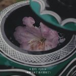 永远支持Vava老师