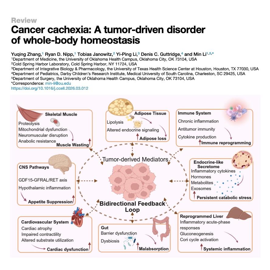 923-A Tumor-Driven Collapse of Systemic Homeostasis episode artwork