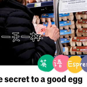 【251】美国蛋急！