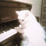 真的睡不醒啊啊