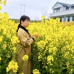 岁月的帆