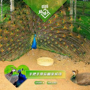 vol.180 手把手带你相亲成功