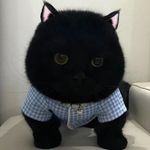 八方斋主