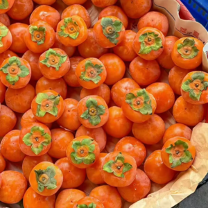 VOL305.你的潜意识指引着你的人生，而你称其为命运。