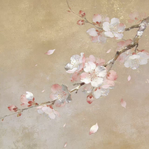 Vol.08【揭秘】哪些人天生招桃花?谁是恋爱脑晚期患者?