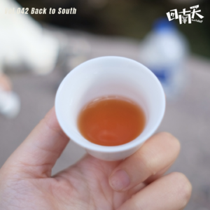 Vol.42 春光正好，进山喝茶｜武夷山喝茶漫游指南