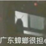 爱吃一切粉