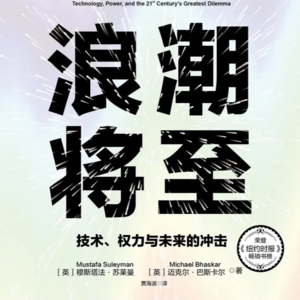 《浪潮将至》