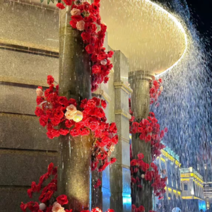 VOL265.如果道路本身很美，不要问它通向何方。