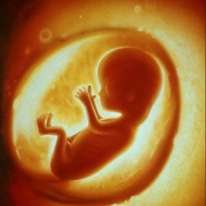 预告：和我同年同月同日生的几个人