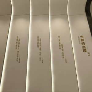 胖东来的本质是学校，服务背后是价值观营销？