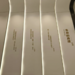 胖东来的本质是学校，服务背后是价值观营销？