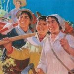 开个花皮卡