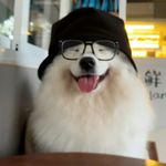 AllergYang