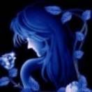 家里的猫爱玩水