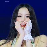 坨坨zhao