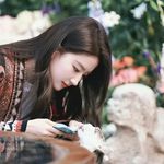 向南飞_580