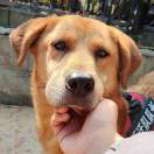 小一土的碎碎念