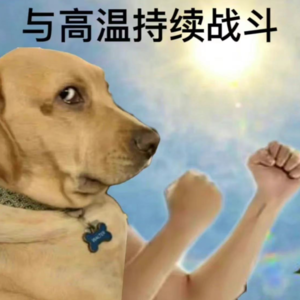 Vol.19 暑期看点啥,找我追剧侠