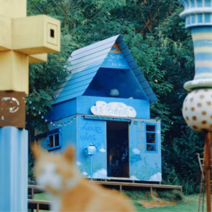 #21.野生艺术家的造梦首秀,有多少真实心酸的笑与泪(上)