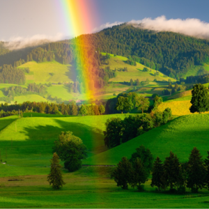 E24其实，每个人都有天赋