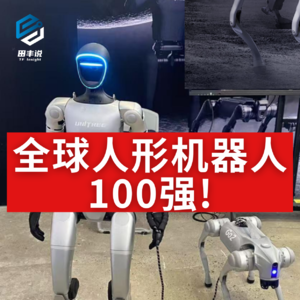 第462集 全球人形机器人100强！