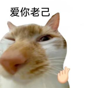 Vol.017 2026，爱你老己，天天见！