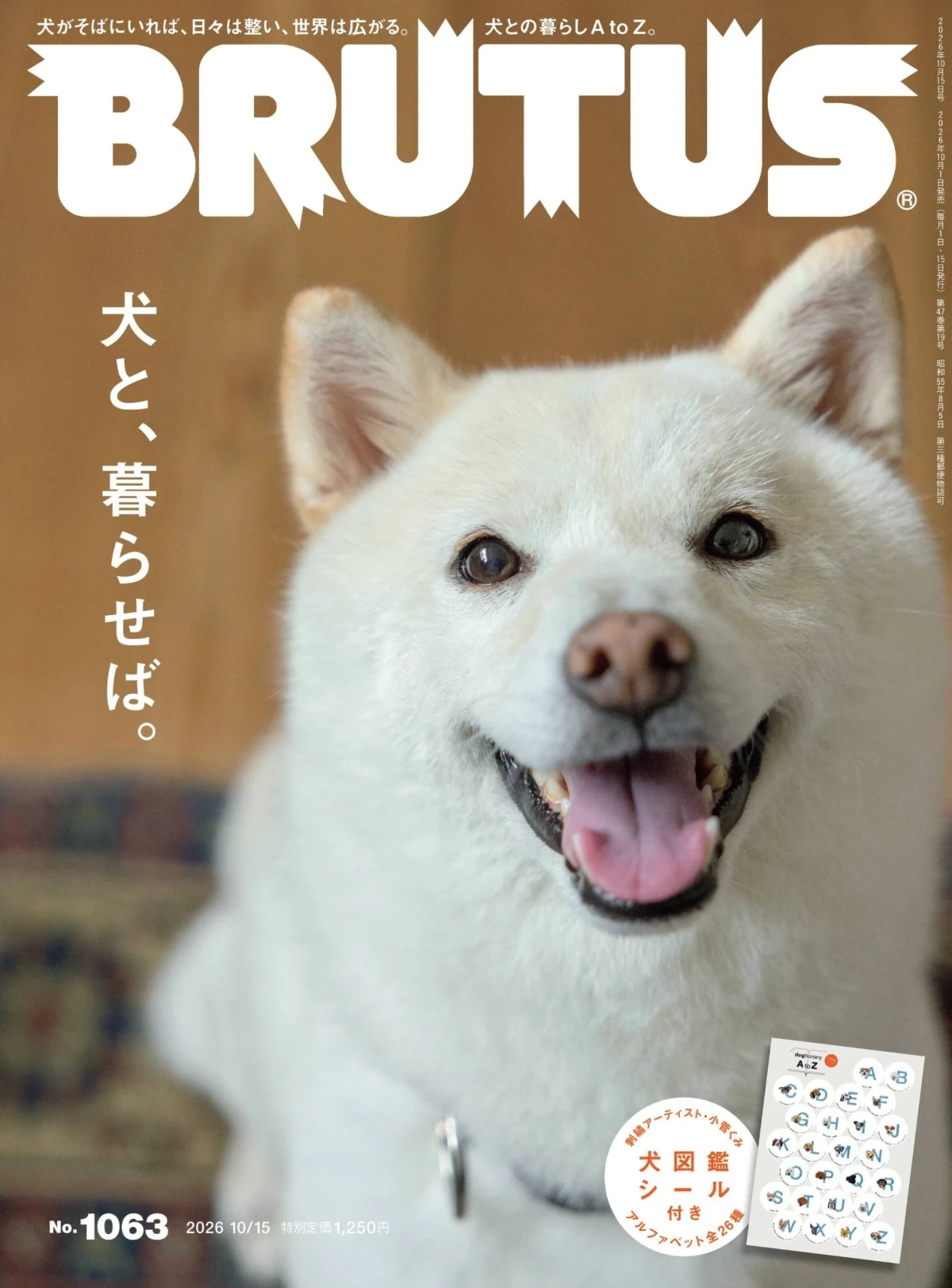 BRUTUS 2026全年1-12月共24期+增刊 PDF